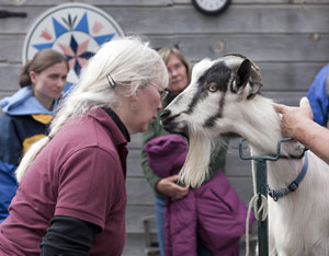 Want Goats? Come to Goat School! Image